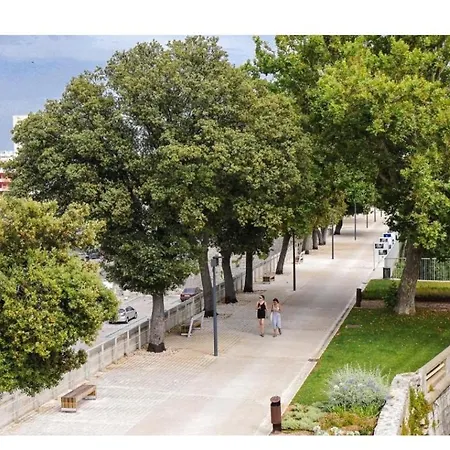 Elanda Downtown * זאדאר